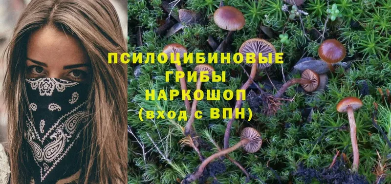 Псилоцибиновые грибы Magic Shrooms  Коломна 